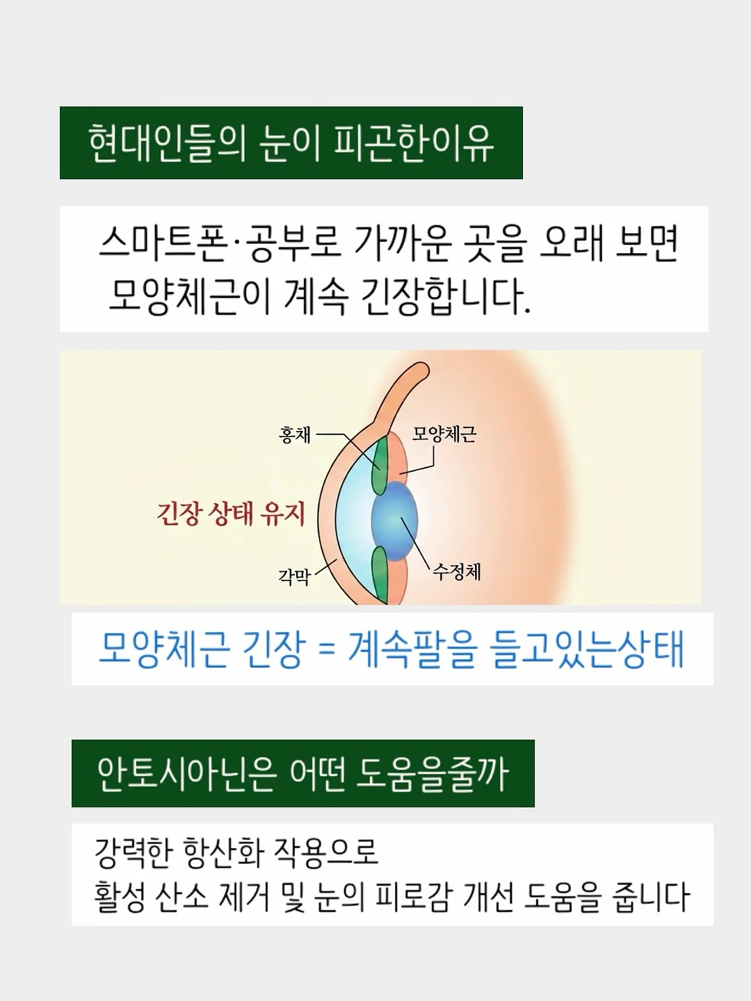 다이아 스퀘어 반지 12