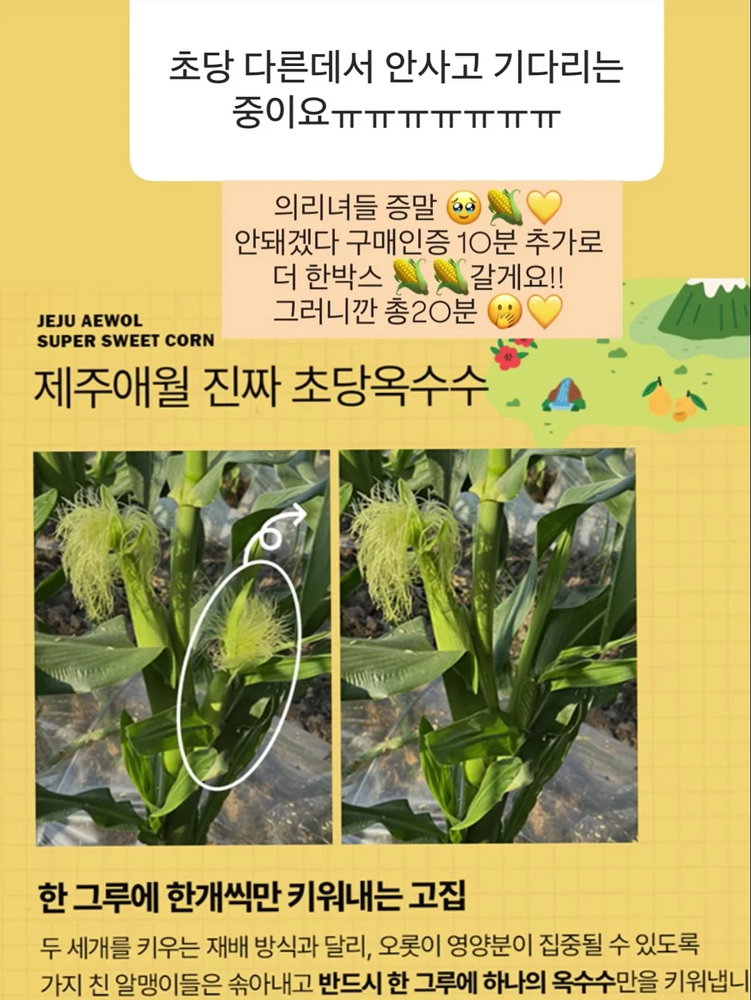 가지 탕수육 4
