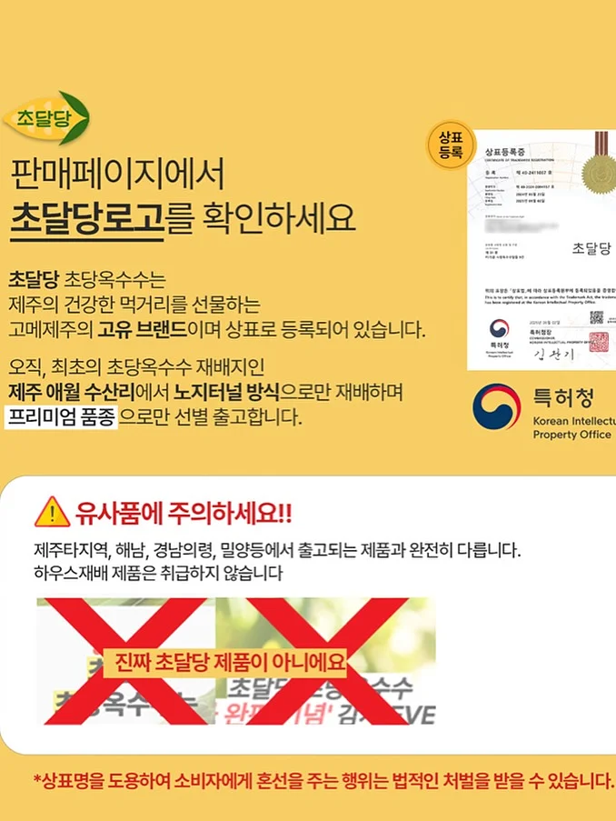 가지 탕수육 7