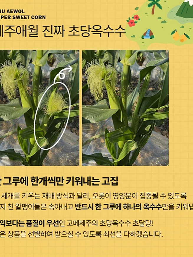 가지 탕수육 8