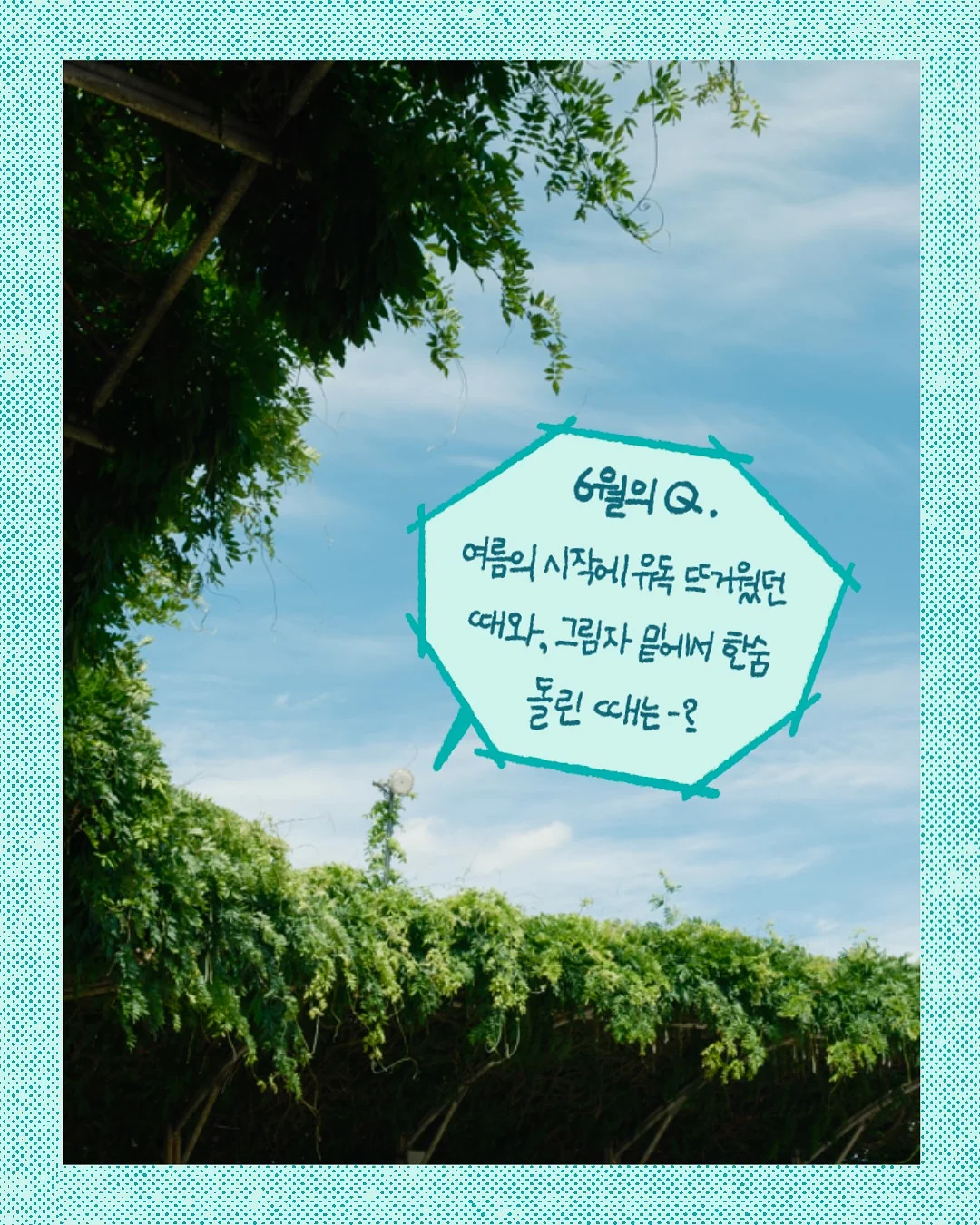 더페트리셔 풋크림 3