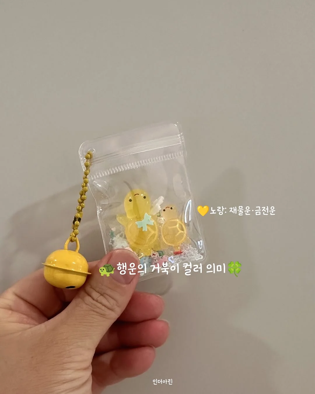 따옴바 신제품 12