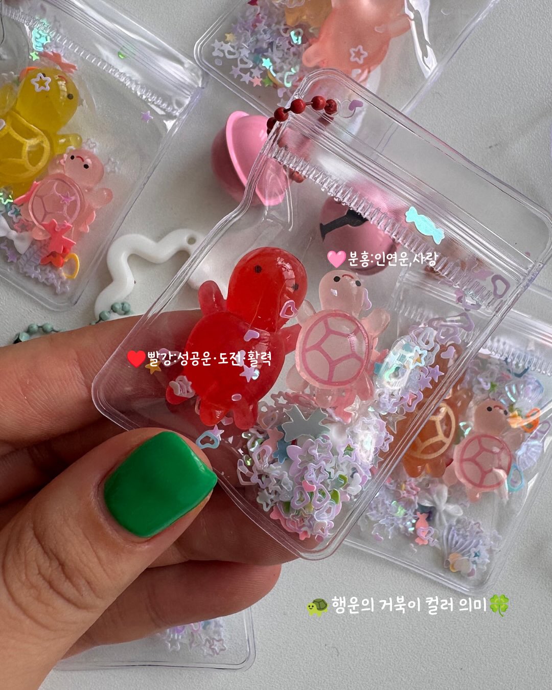 따옴바 신제품 13