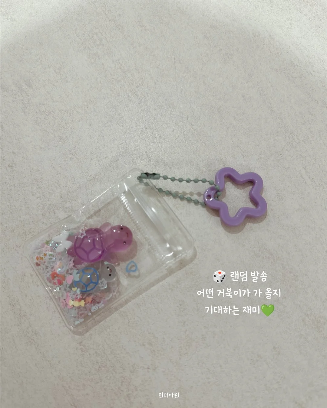 따옴바 신제품 5