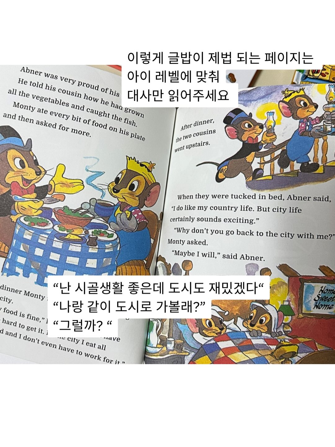 세트 10