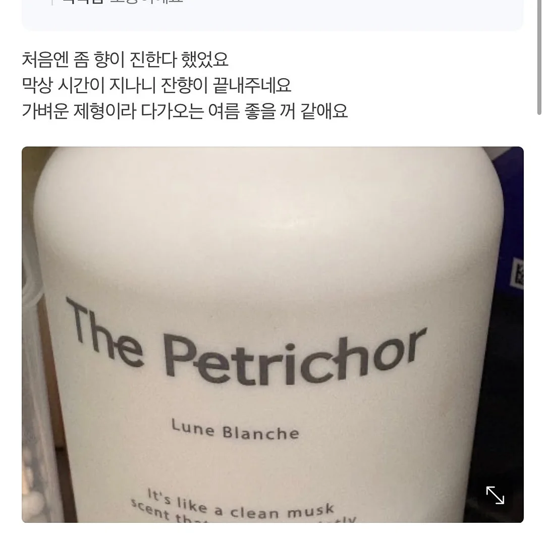 어버이날 부모님 사진 프롬프트 11