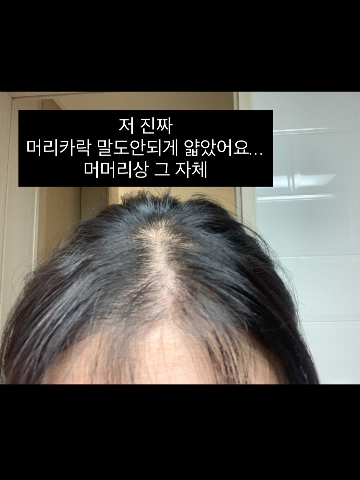 파노라마 텐트 1
