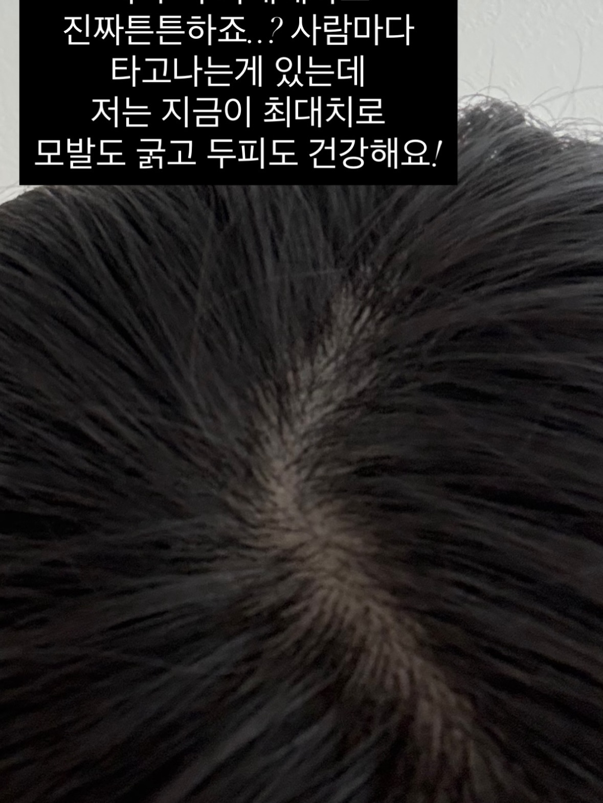 파노라마 텐트 2