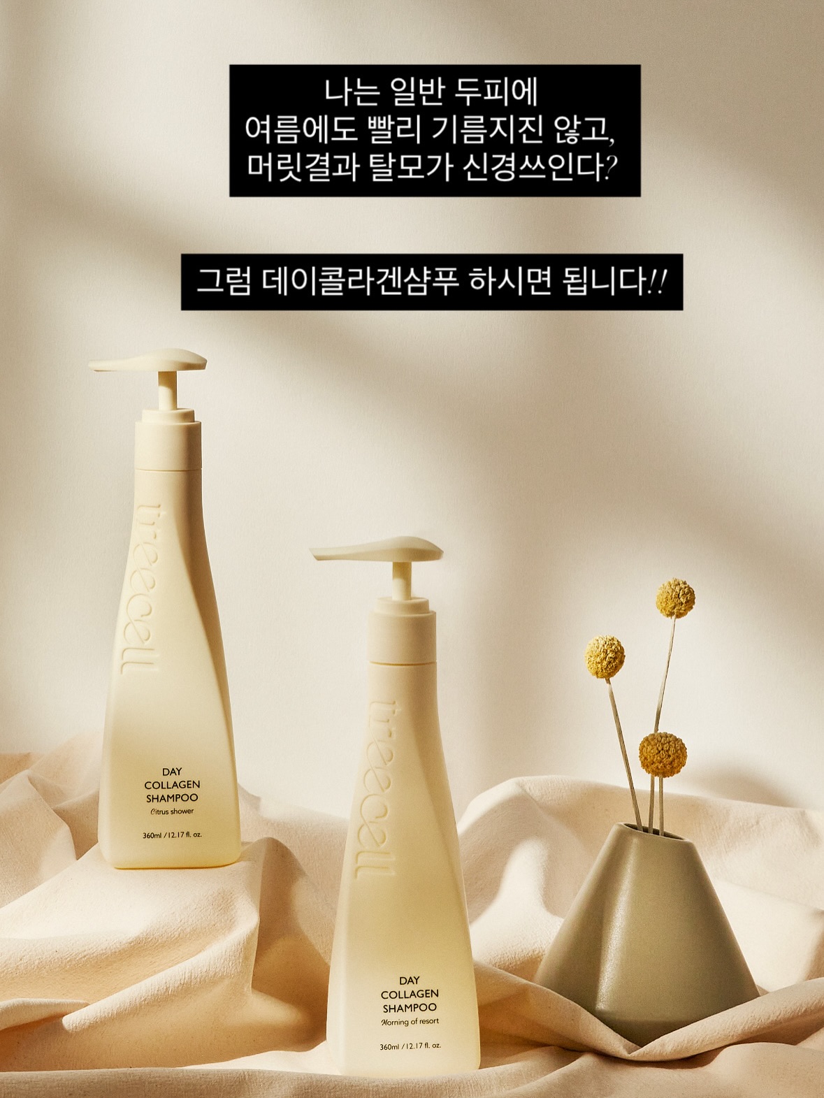 파노라마 텐트 11