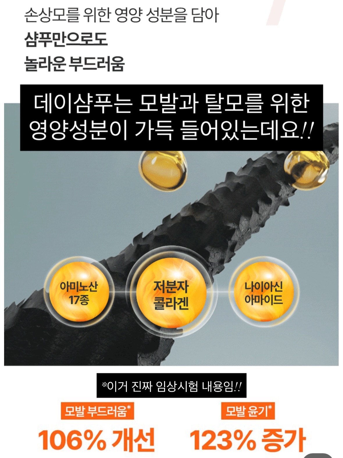 파노라마 텐트 12