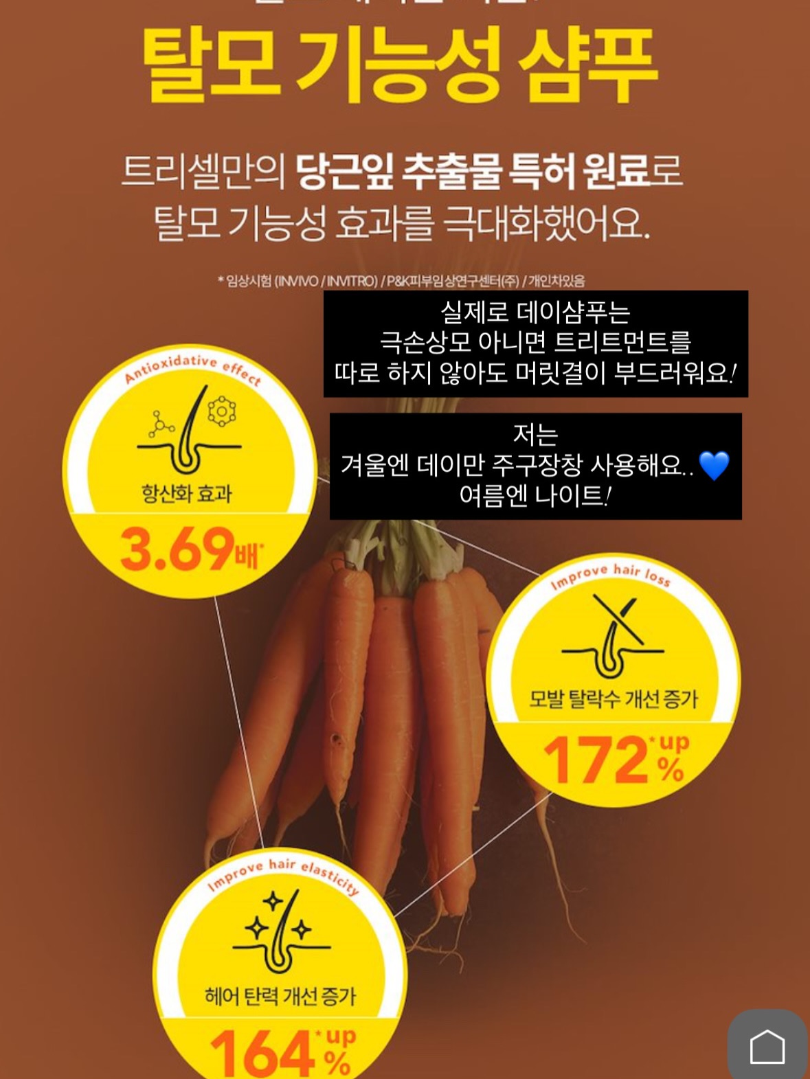 파노라마 텐트 13