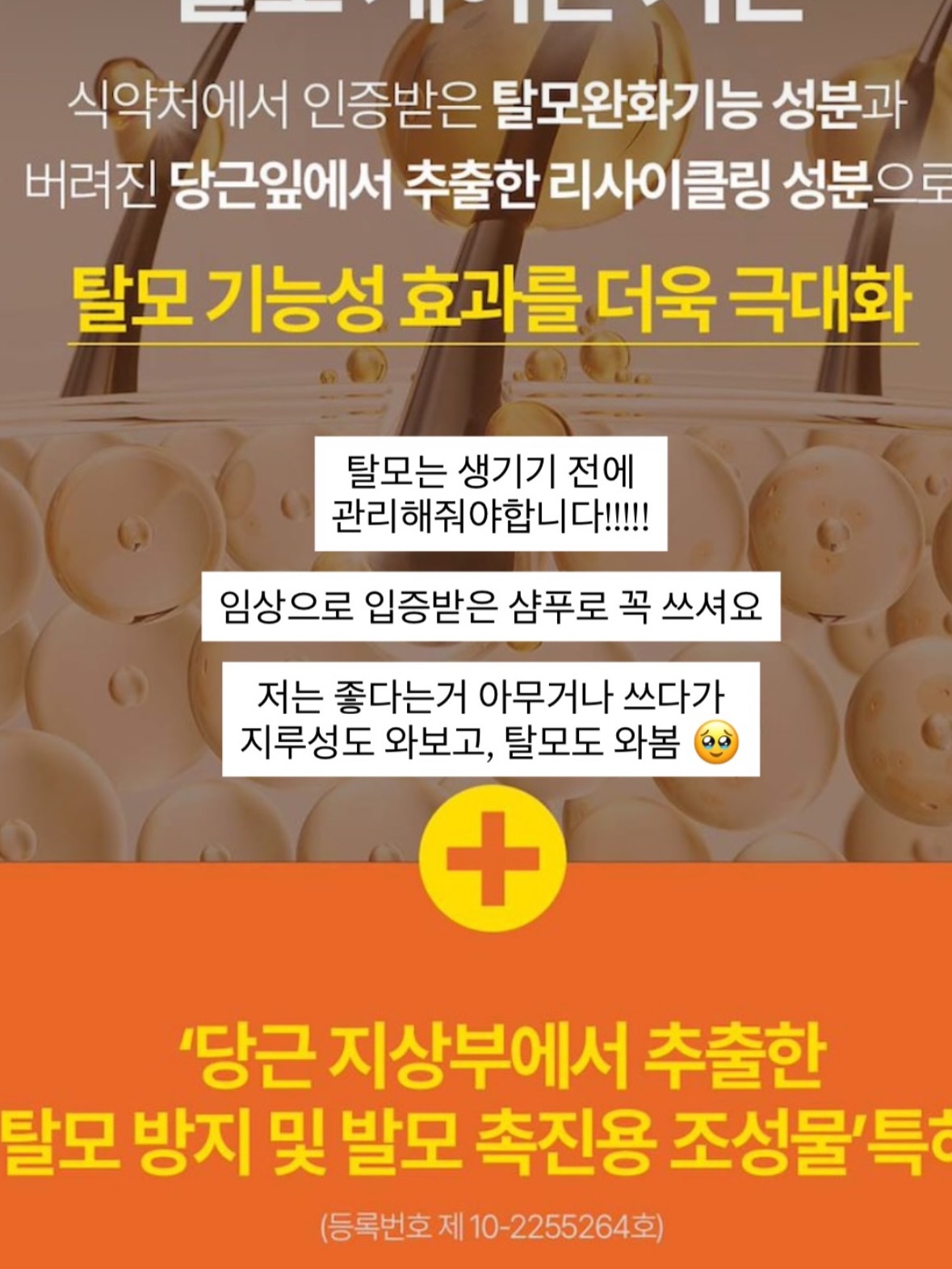 파노라마 텐트 14