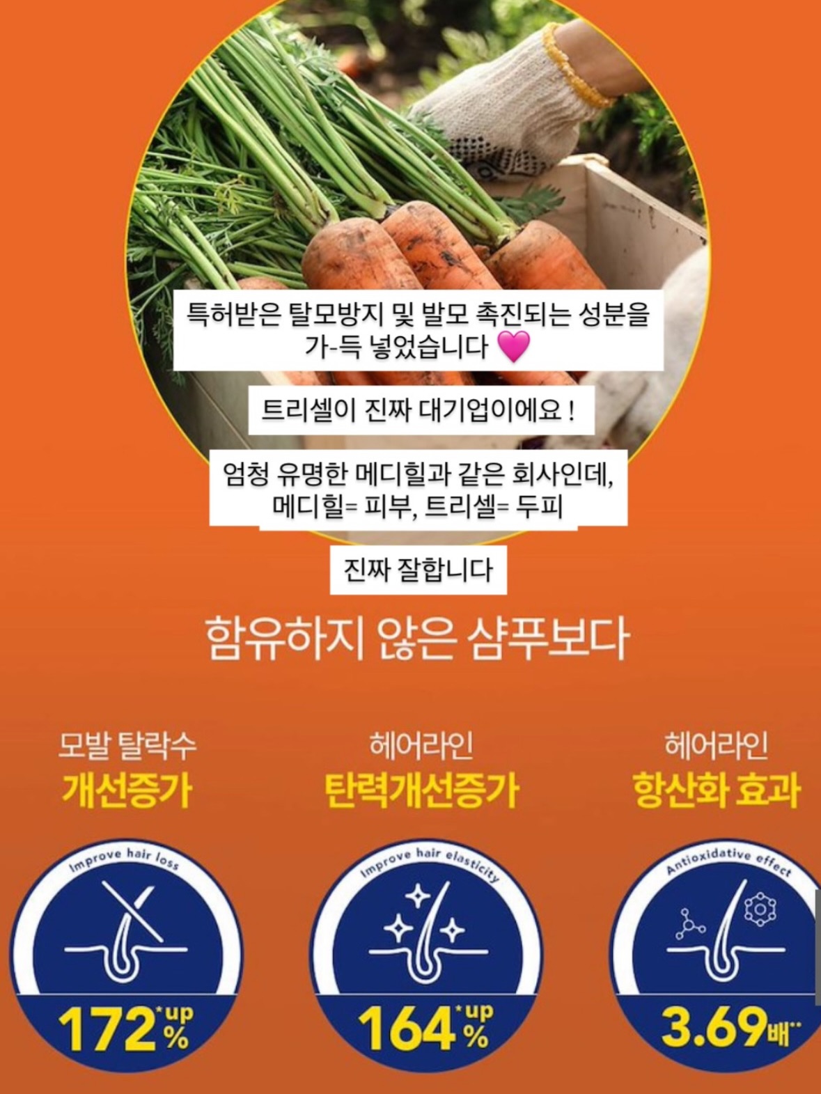 파노라마 텐트 15