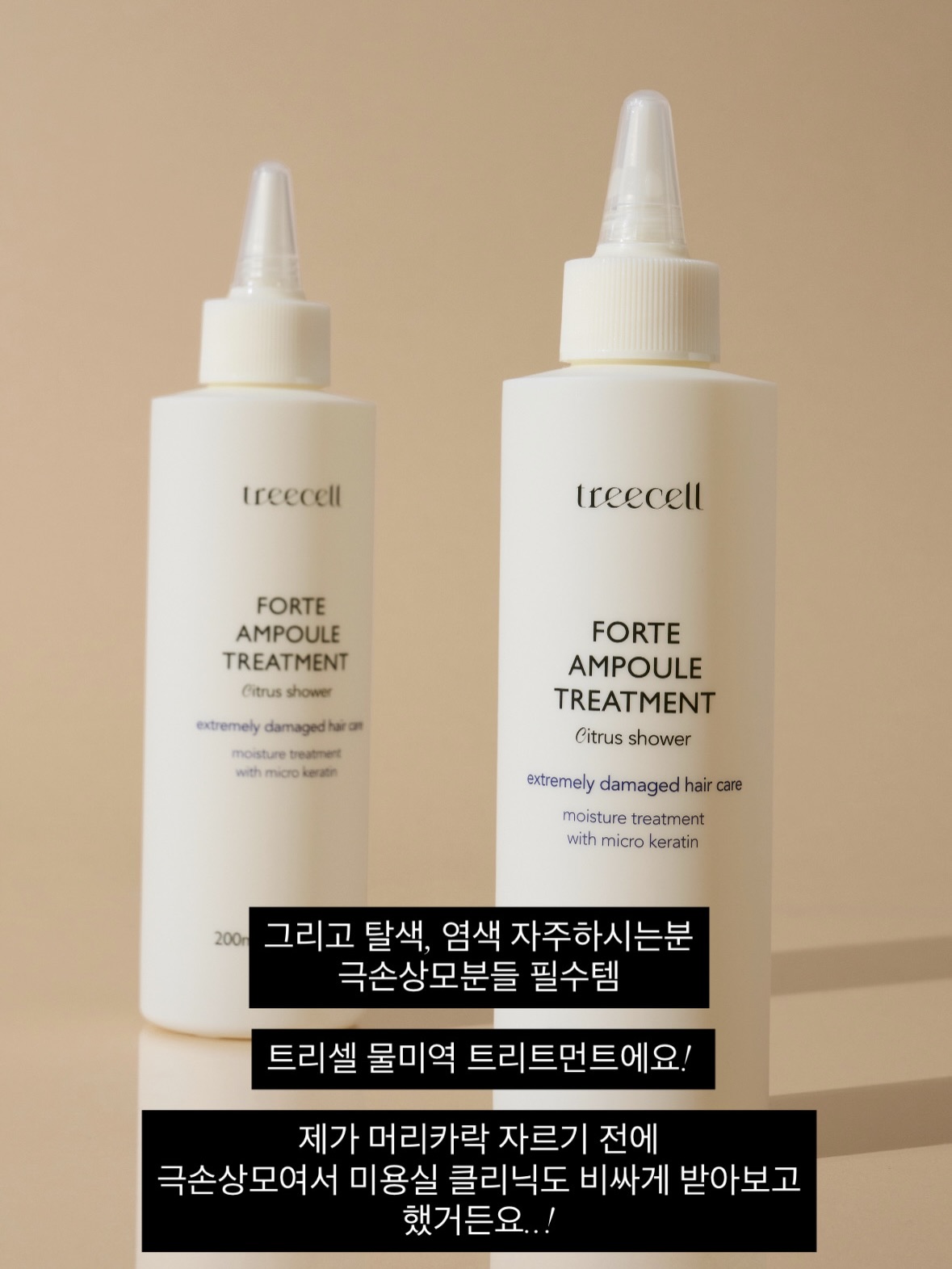 파노라마 텐트 16