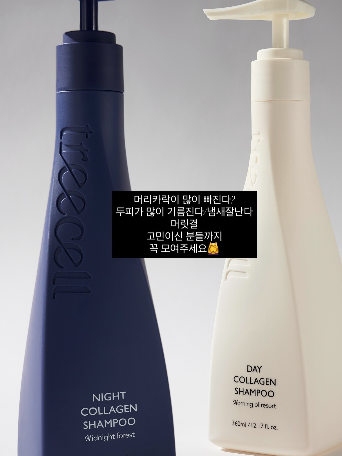 파노라마 텐트 3