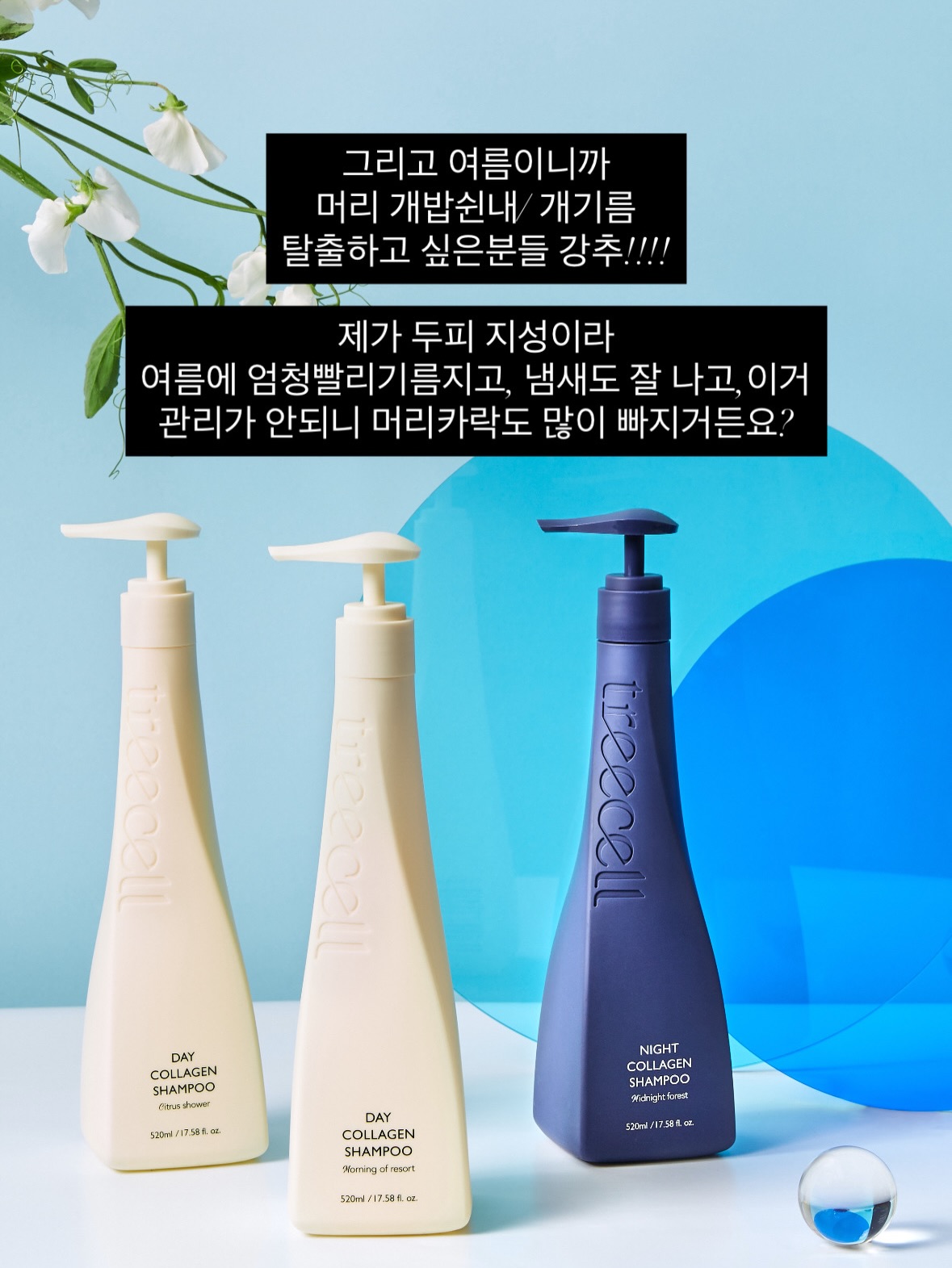 파노라마 텐트 5