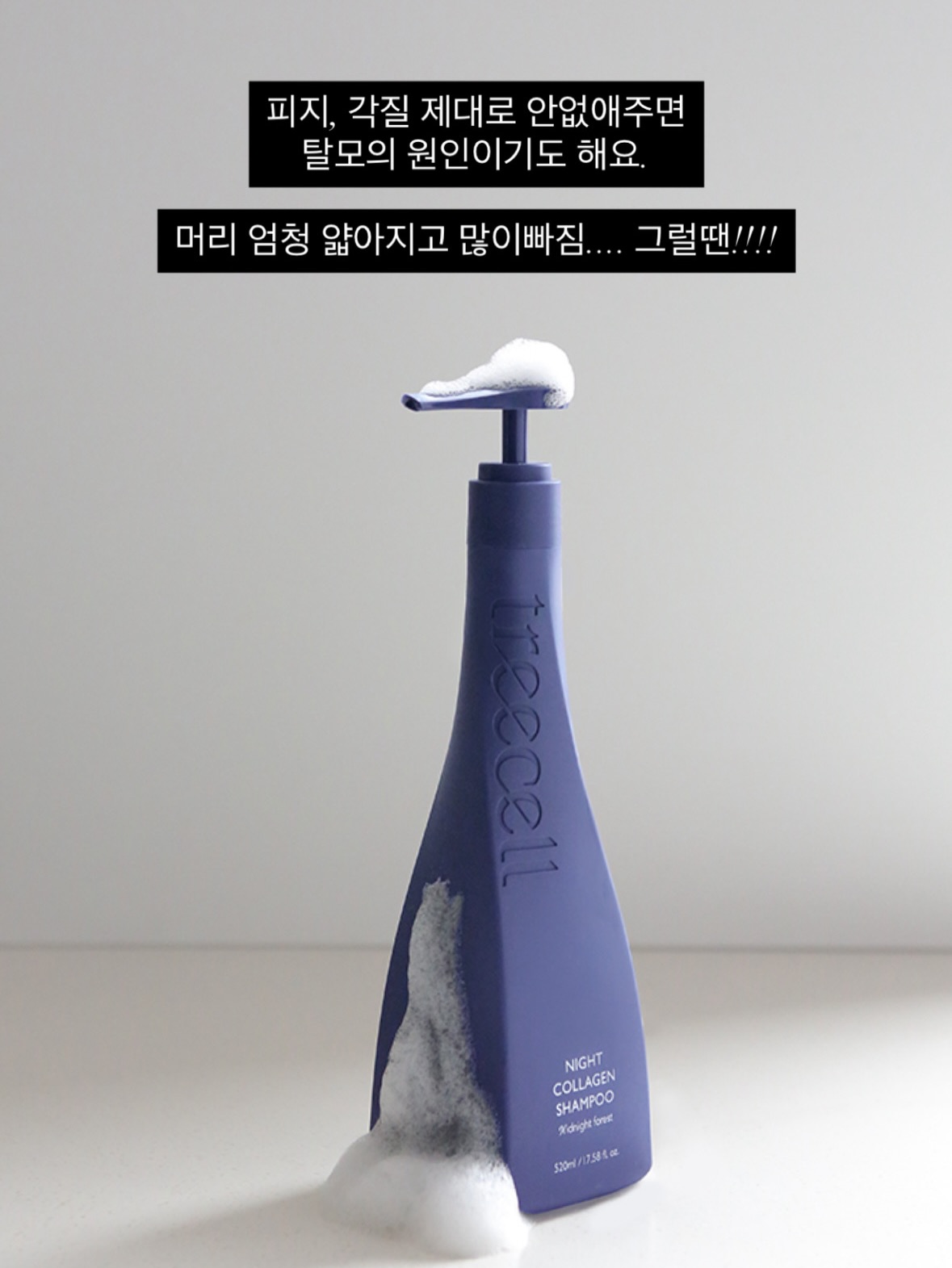 파노라마 텐트 6