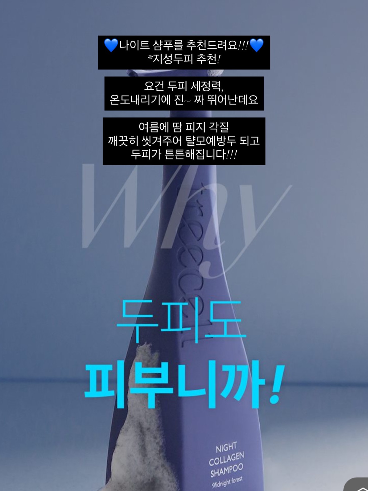 파노라마 텐트 7