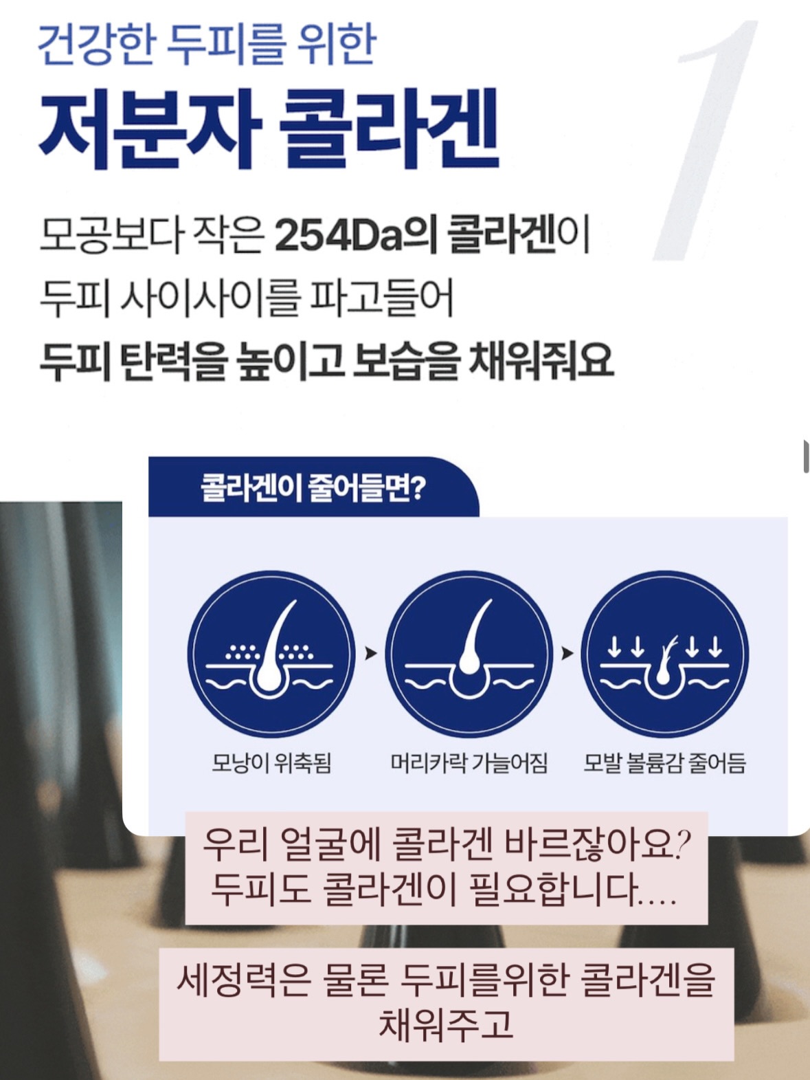 파노라마 텐트 8