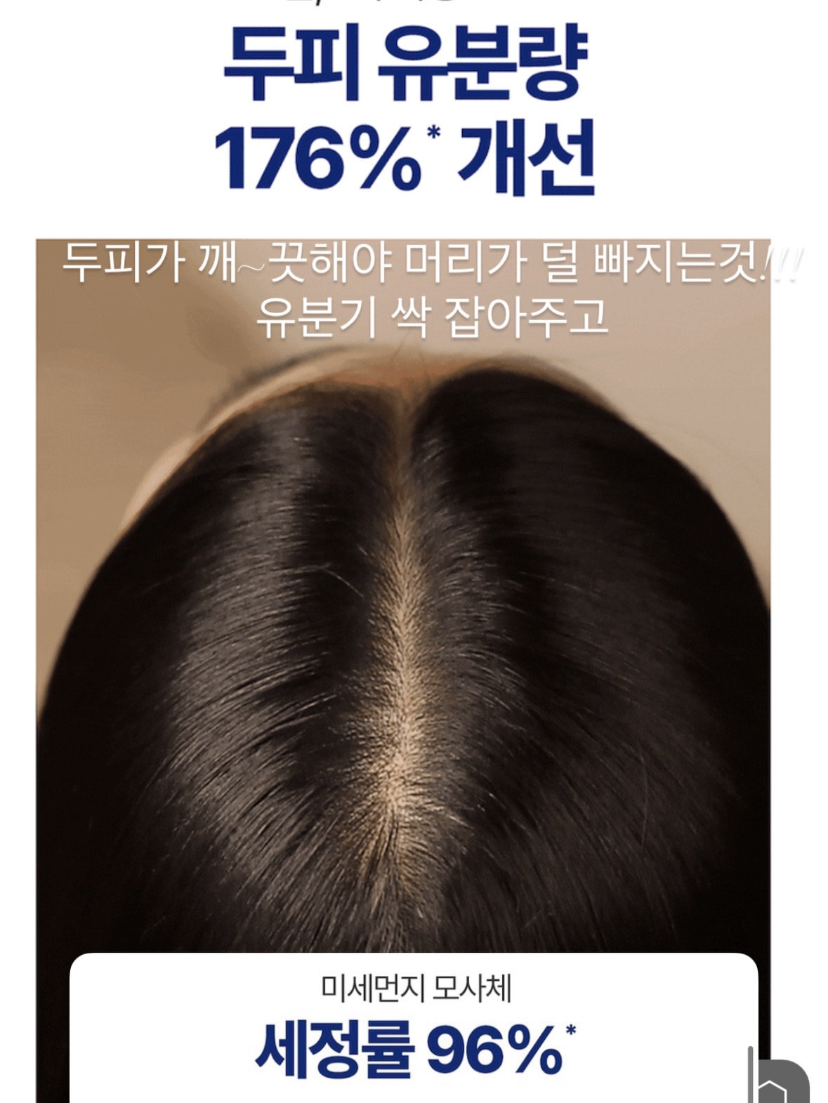 파노라마 텐트 9