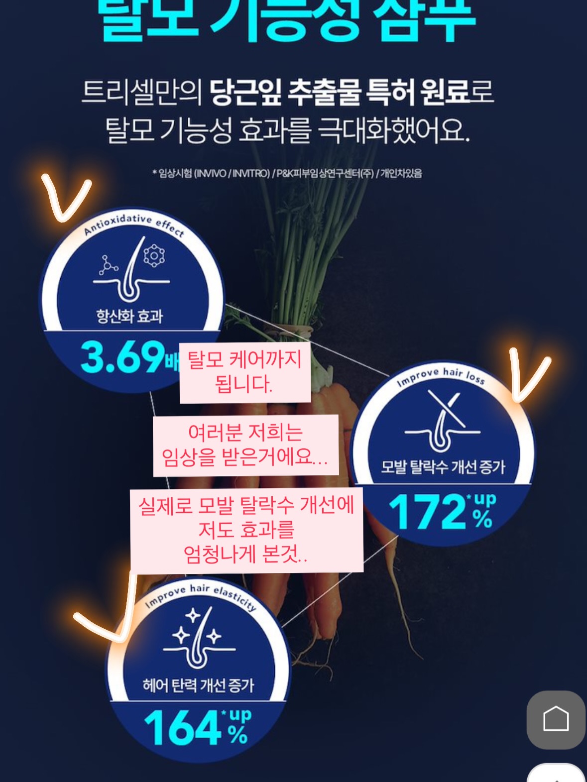 파노라마 텐트 10