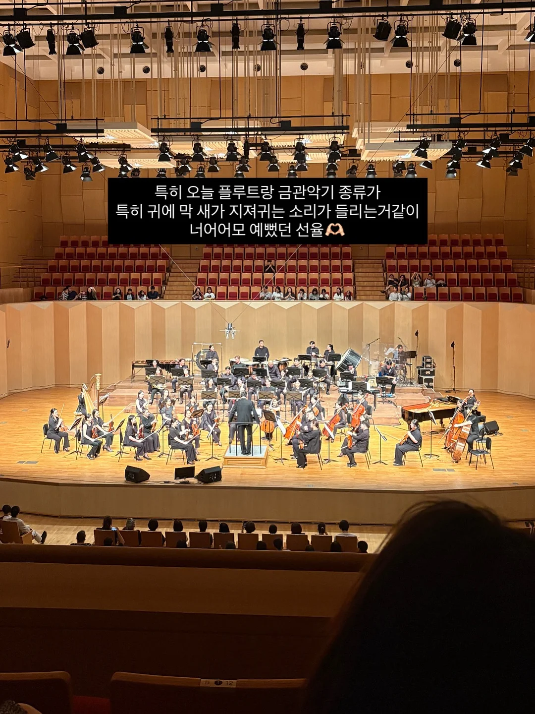 캄포나무도마 3