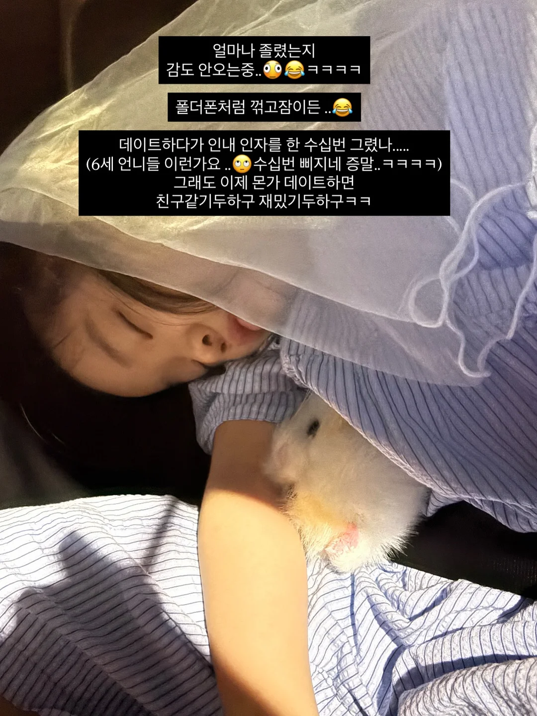 캄포나무도마 8