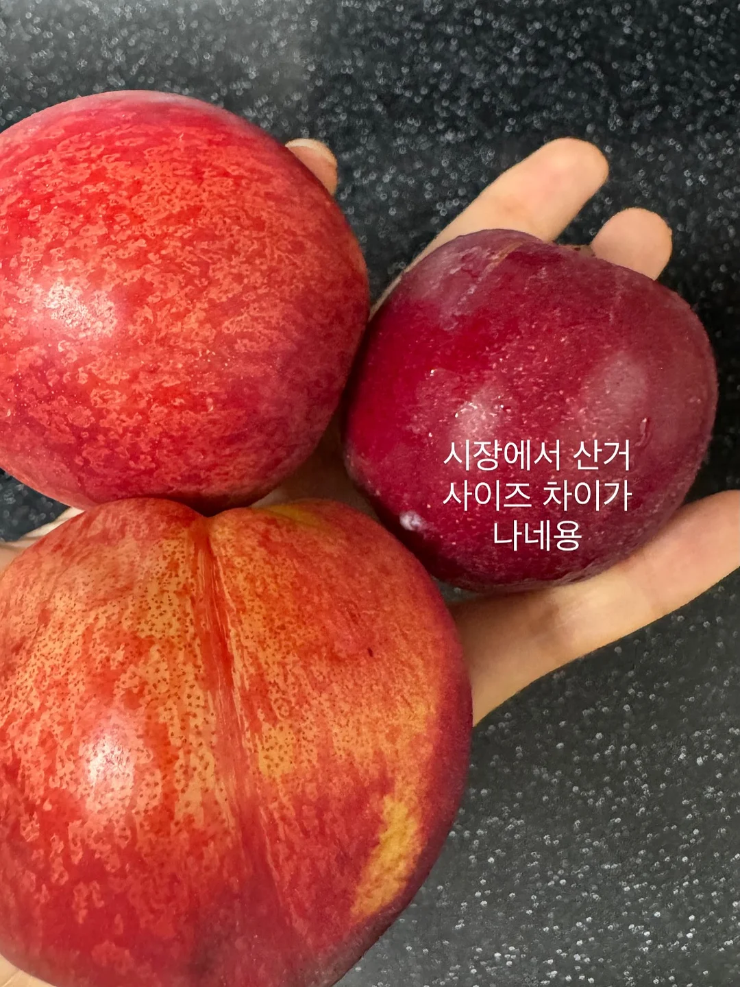 사이드 데끼 버뮤다 반바지 4
