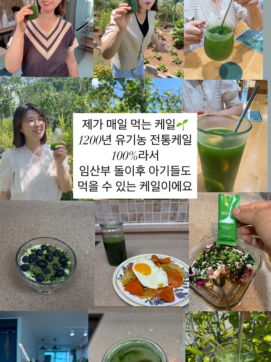 사과 티 12