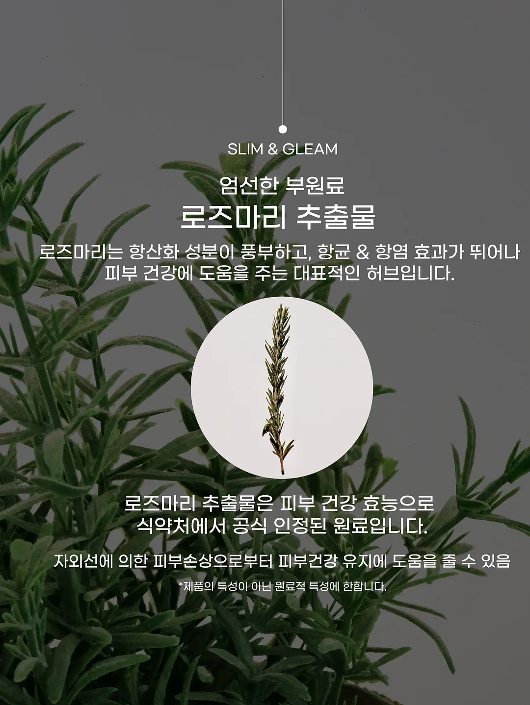 소가죽 가방 7