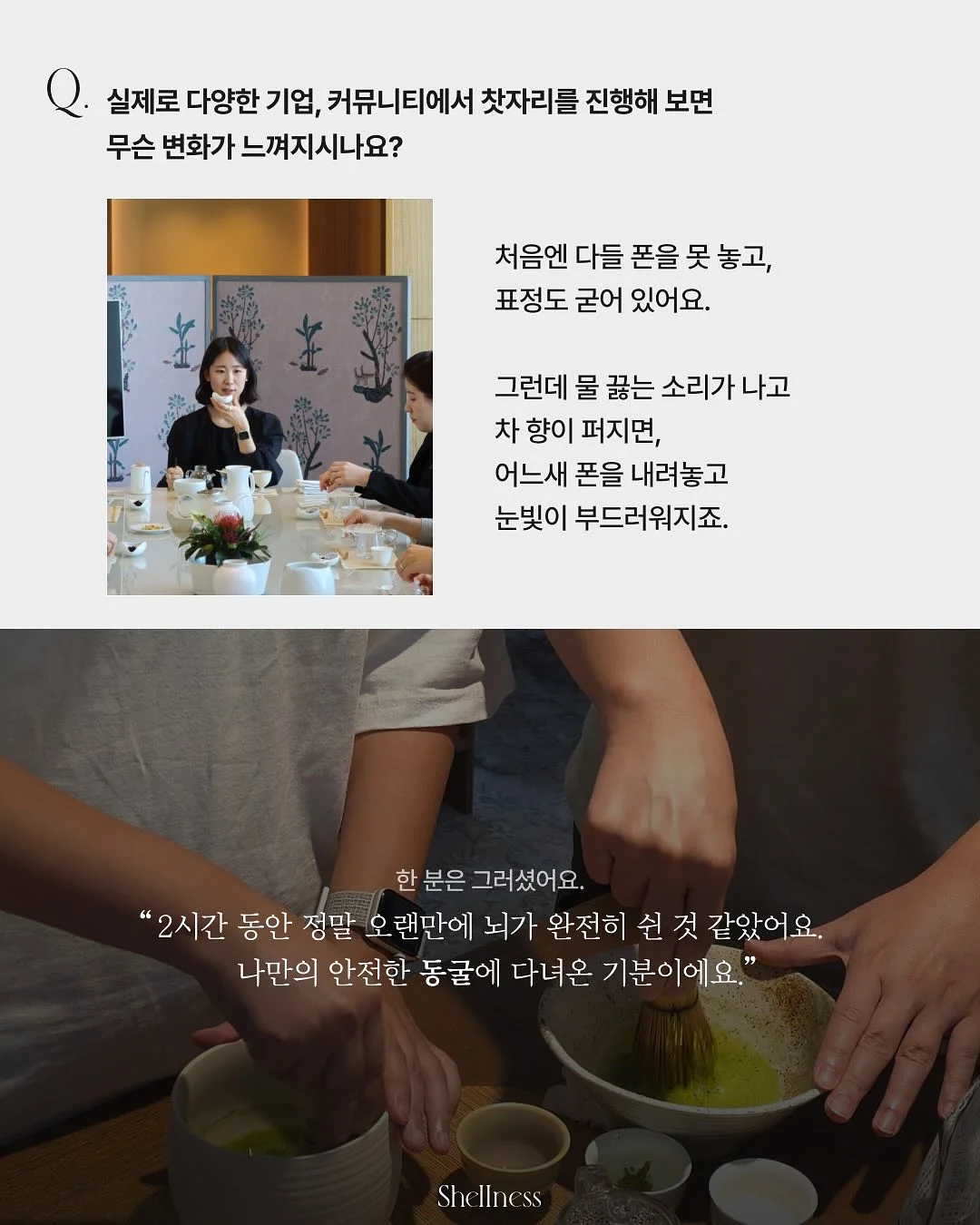 배변 공간 세팅 이미지 11