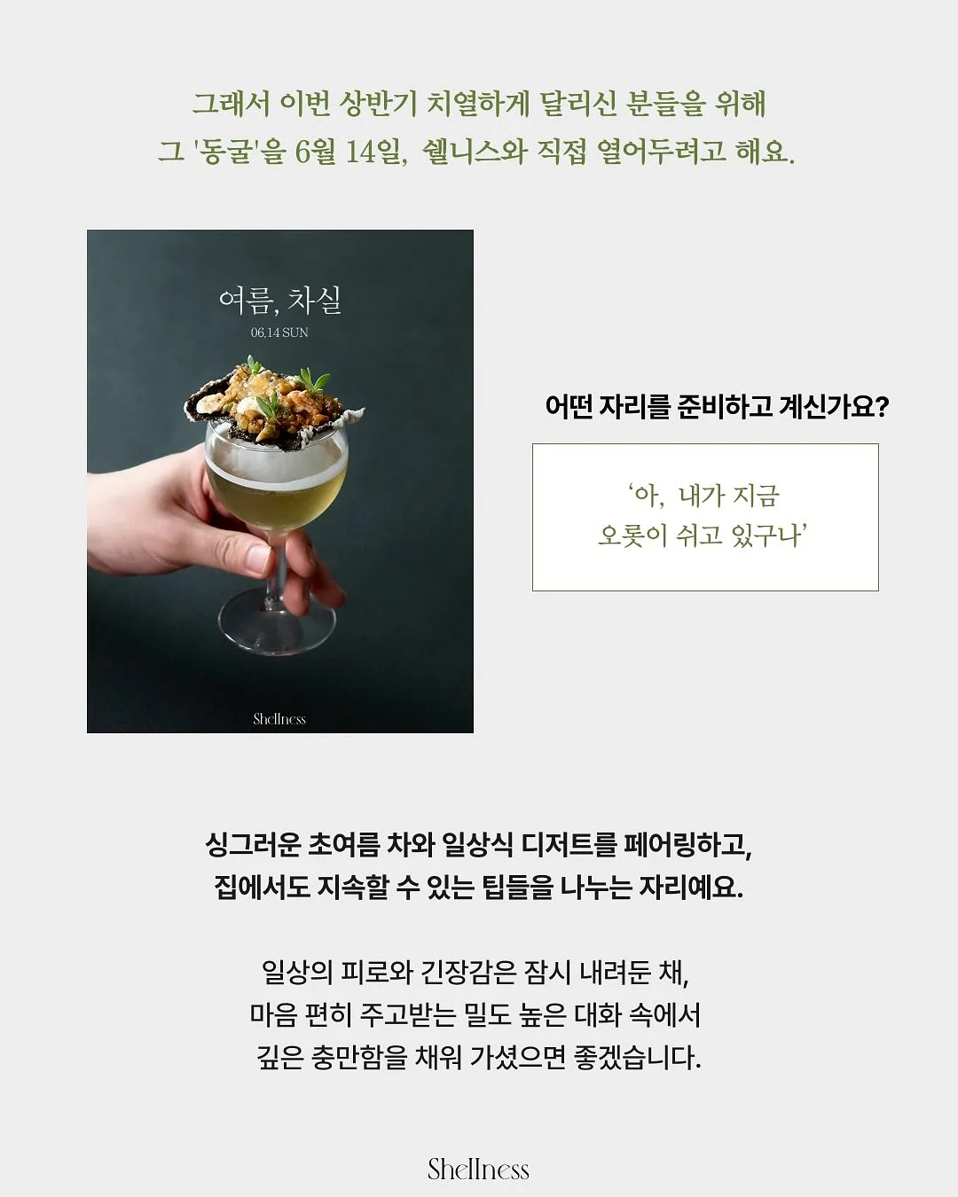 배변 공간 세팅 이미지 12