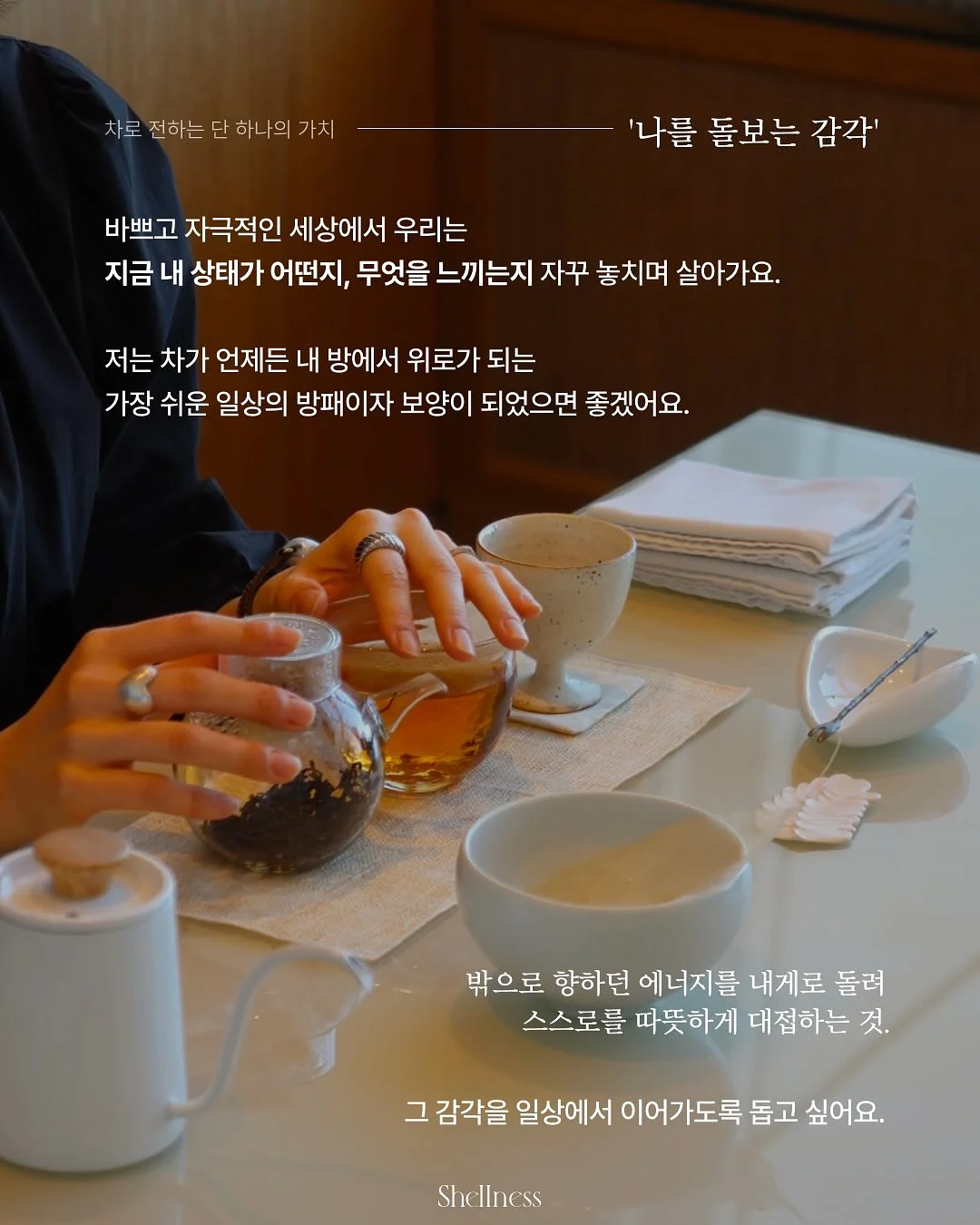 배변 공간 세팅 이미지 13
