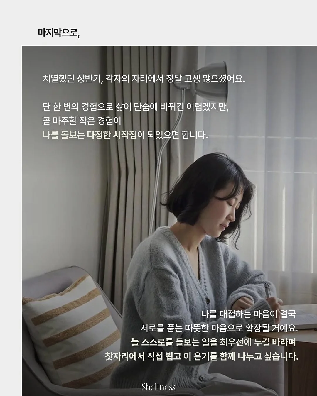 배변 공간 세팅 이미지 14