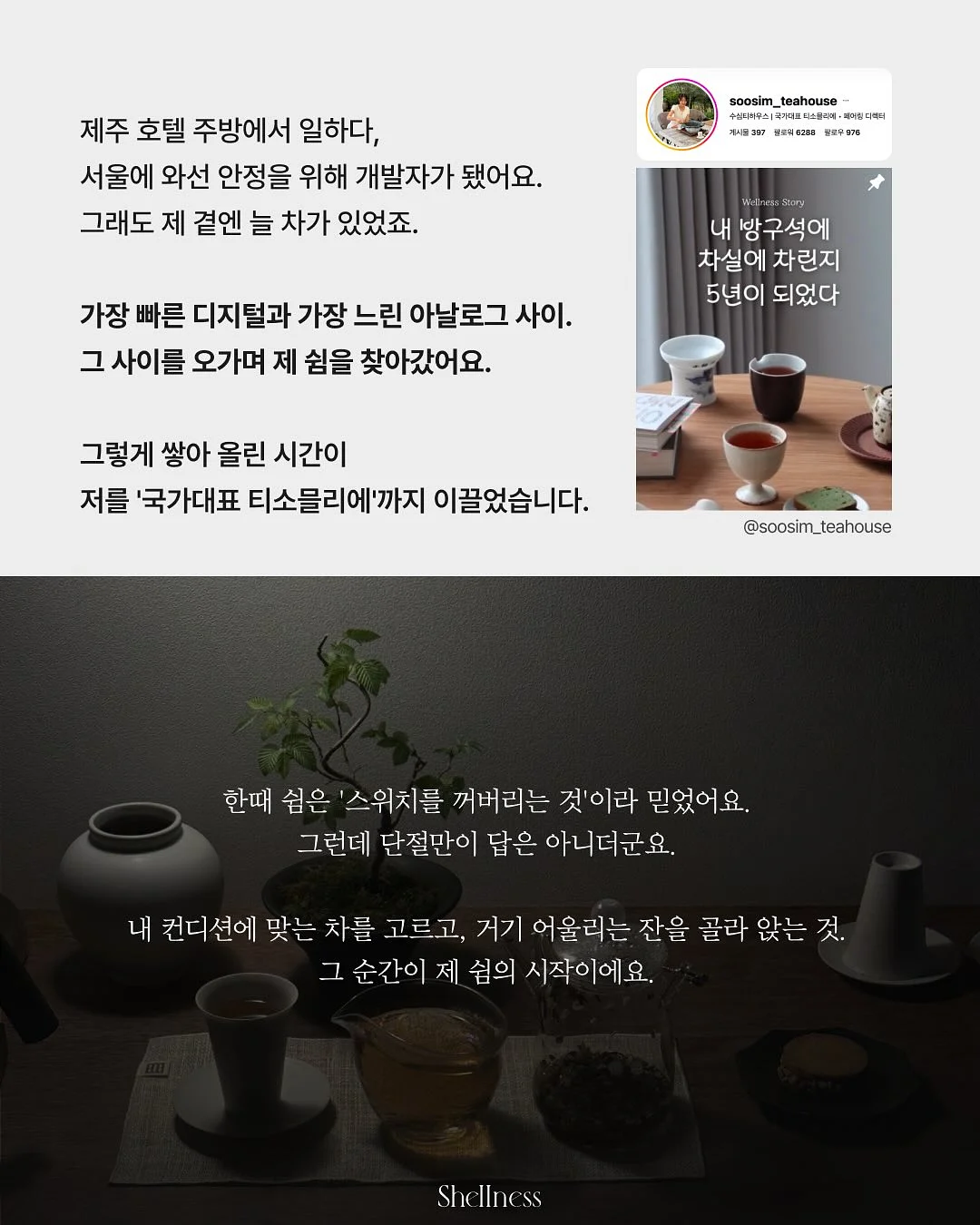 배변 공간 세팅 이미지 4