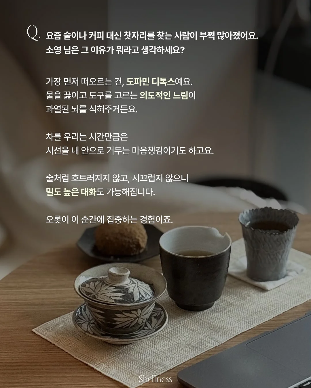 배변 공간 세팅 이미지 5