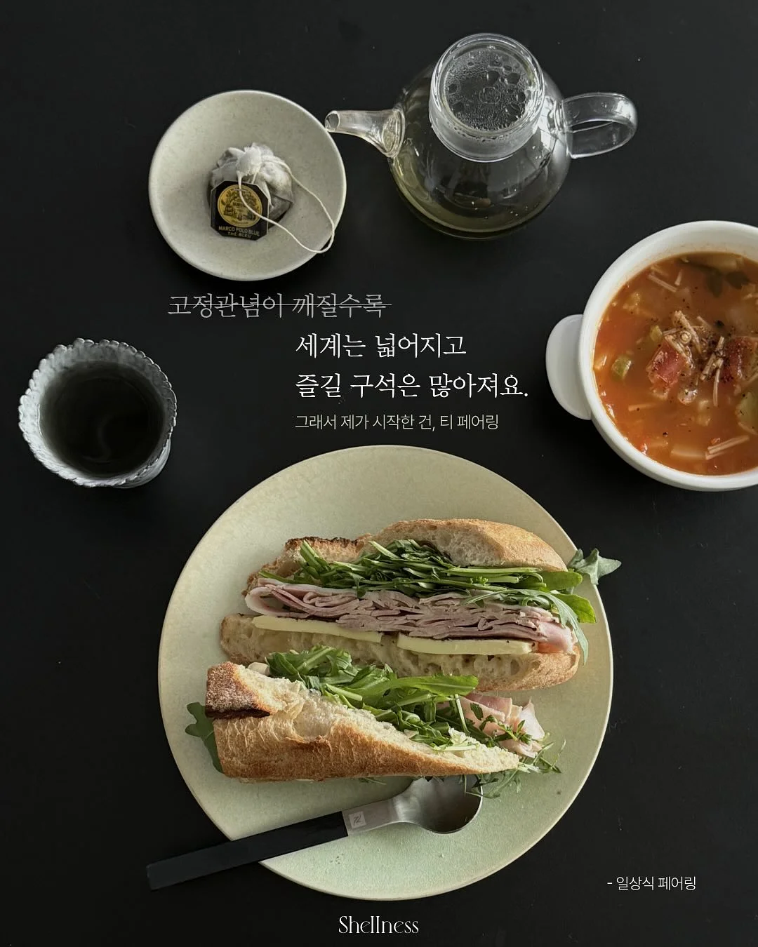 배변 공간 세팅 이미지 7