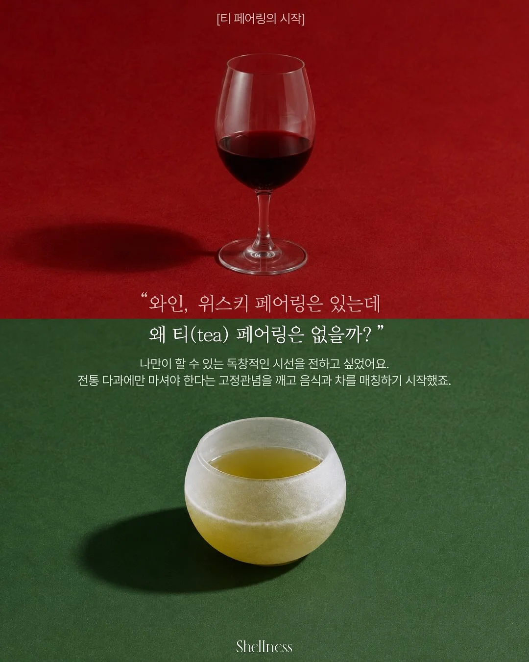 배변 공간 세팅 이미지 8