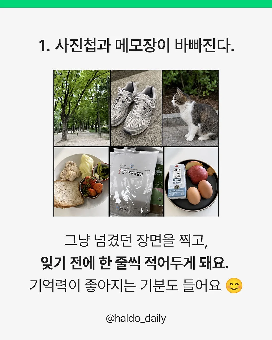 누비타 이유식 워머 2