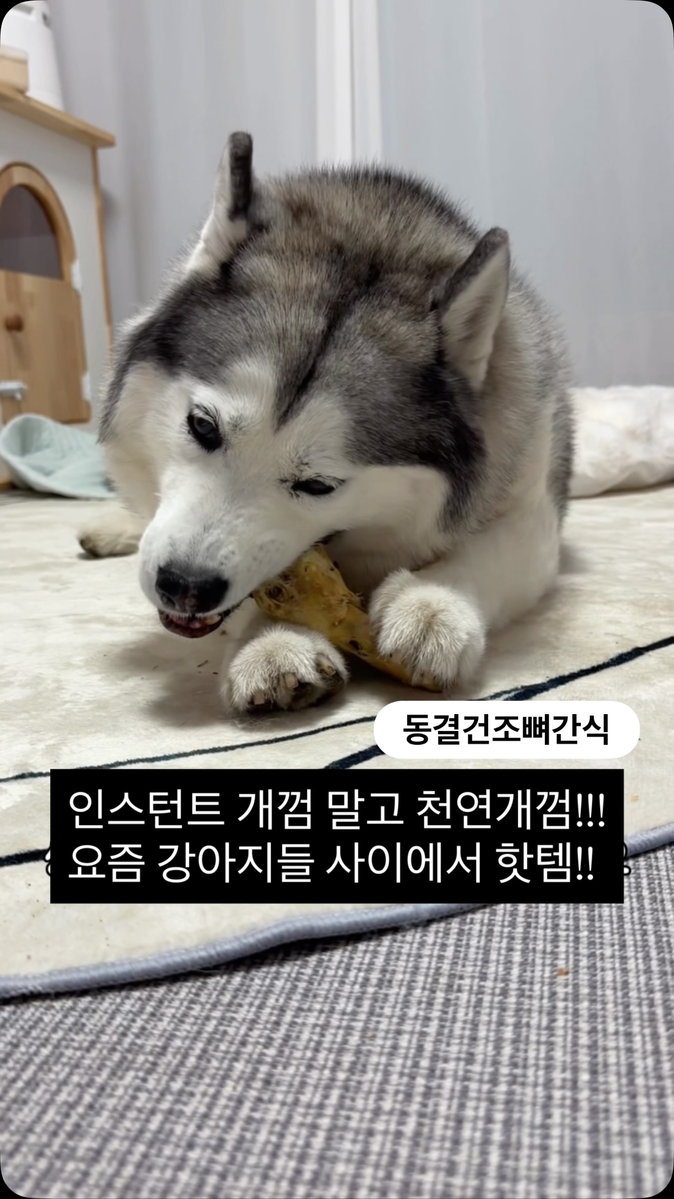 스투시 반팔티