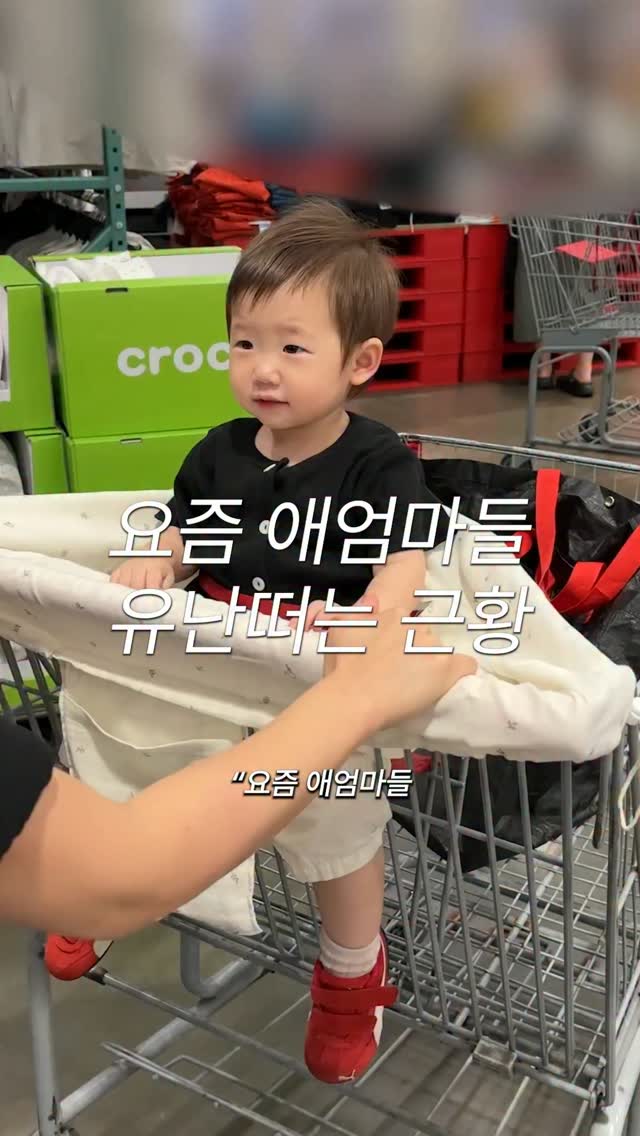 로랑 셋업