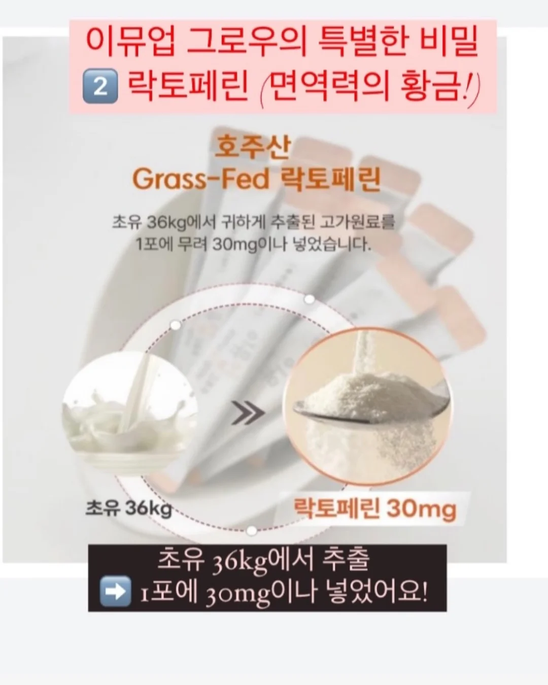 925실버 목걸이 8