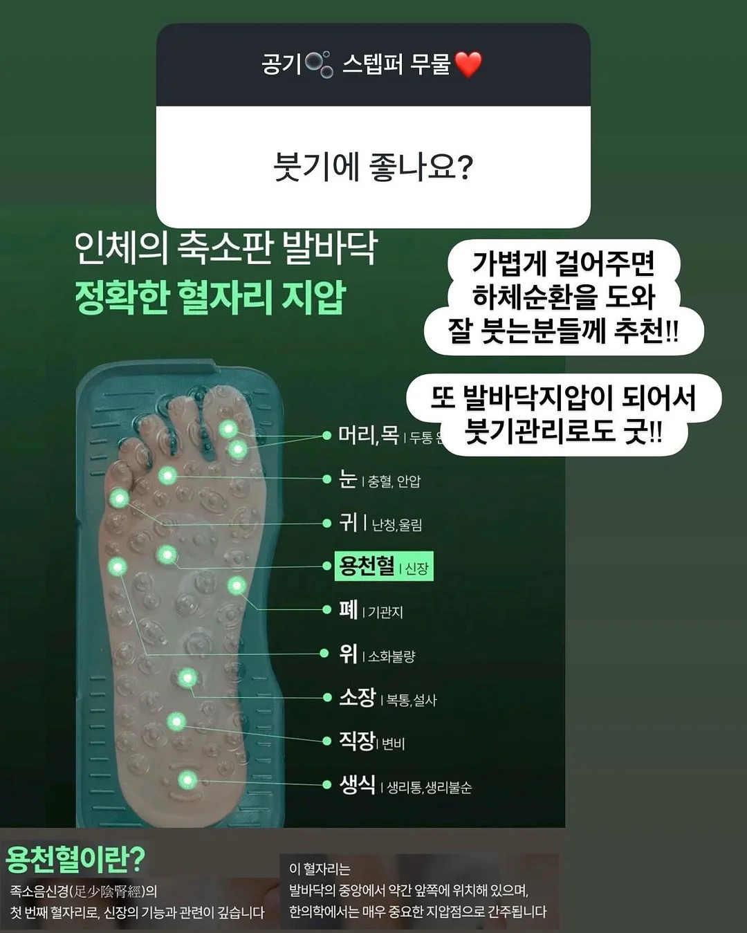 8가지 색심 펜 5