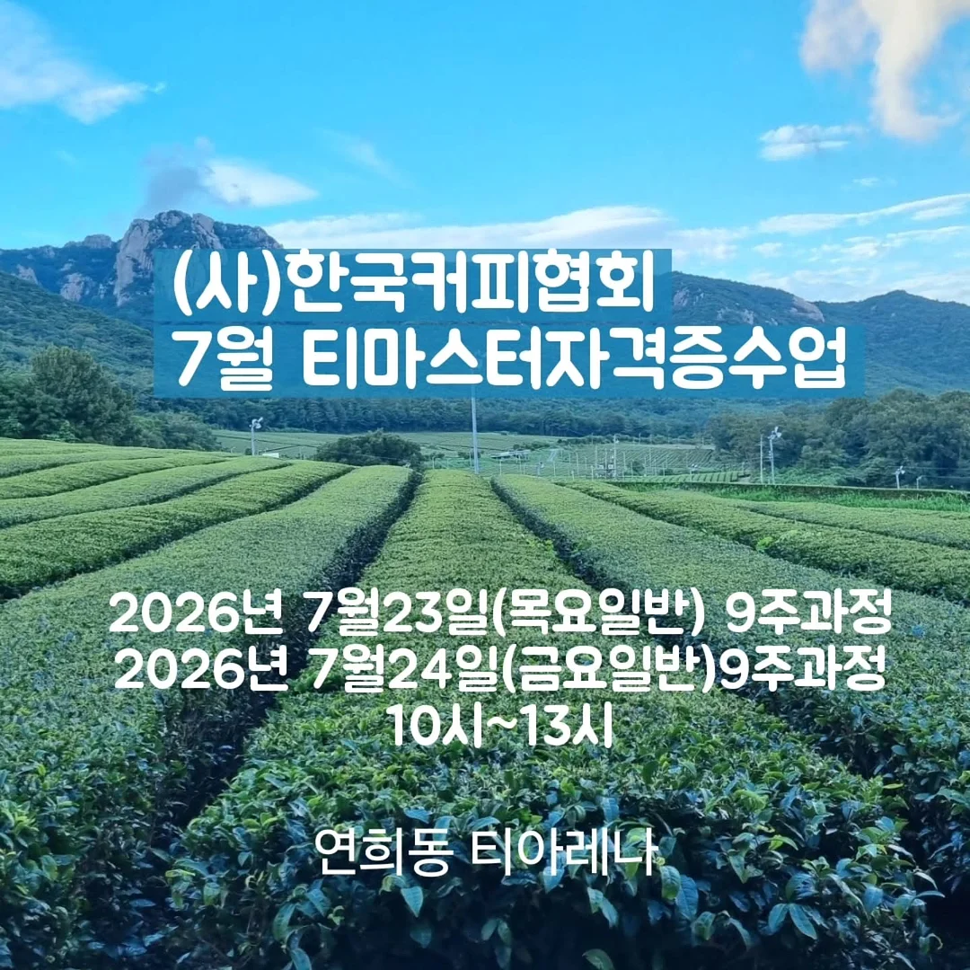 로지니스 셔츠 1