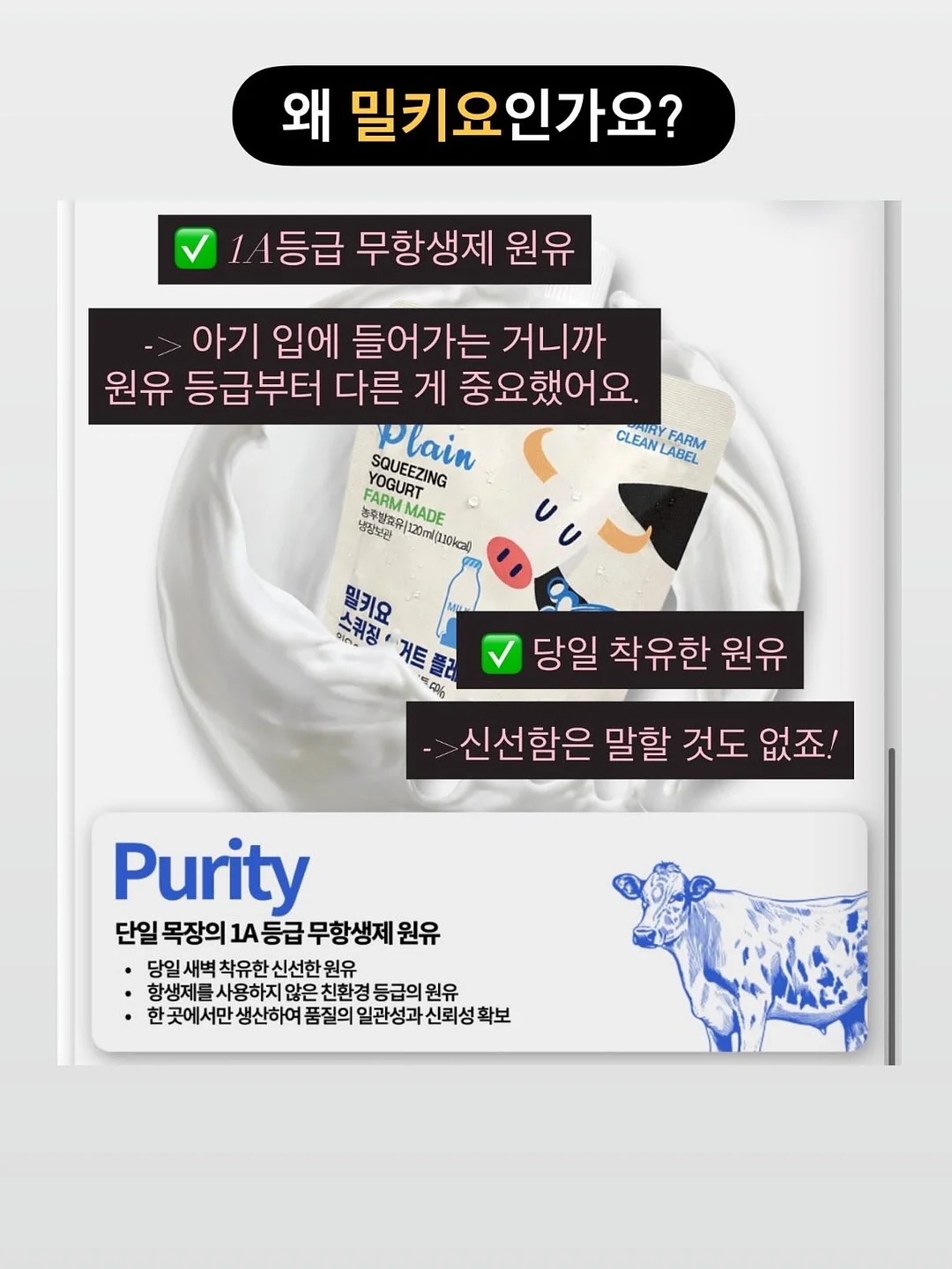 이 카스테라 5