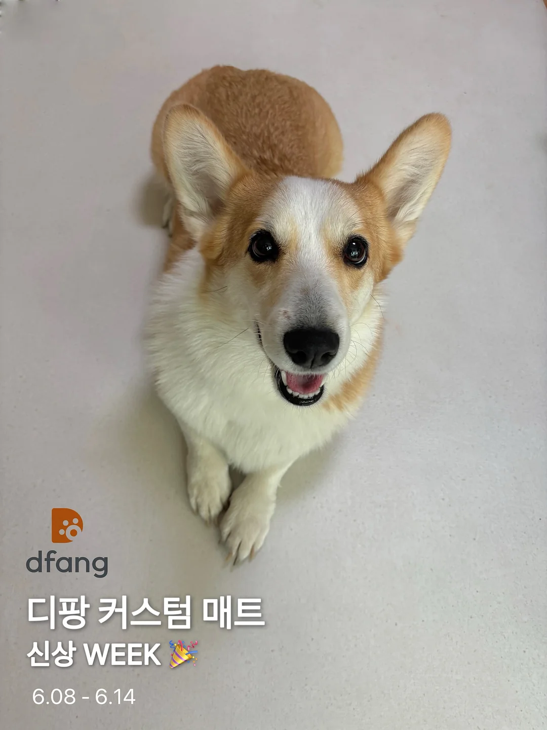 입술 반영구 1