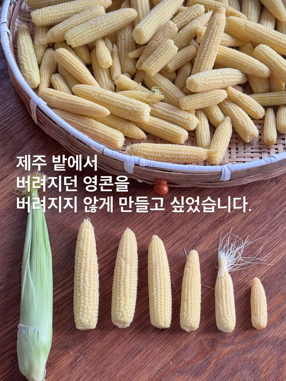 콘텐츠 파일 2