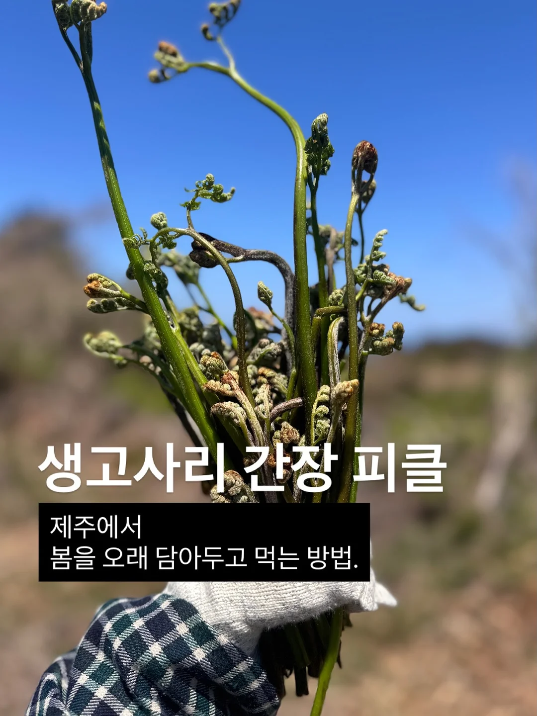 콘텐츠 파일 3