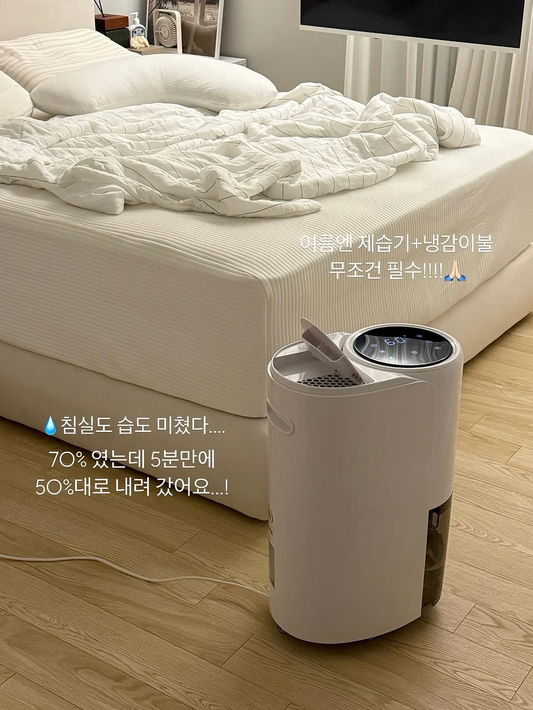 카네이션설기 와 카네이션꽃송편 18