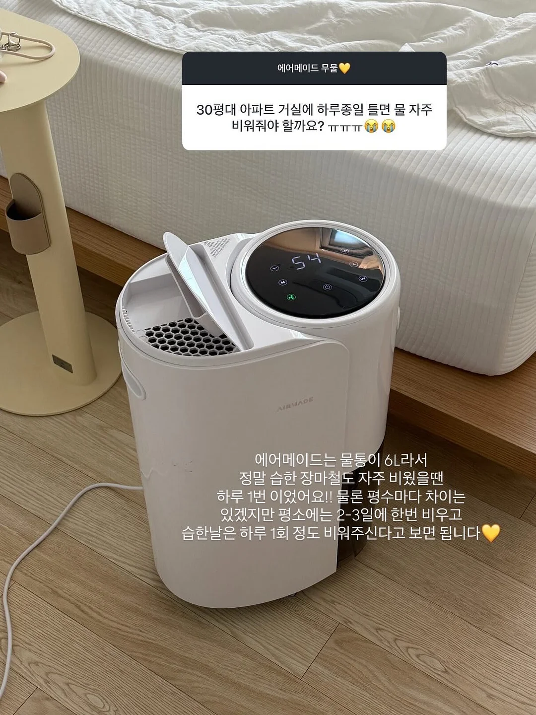 카네이션설기 와 카네이션꽃송편 7
